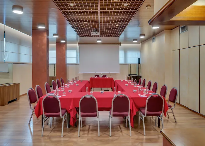 酒店 拉斐尔酒店 米兰