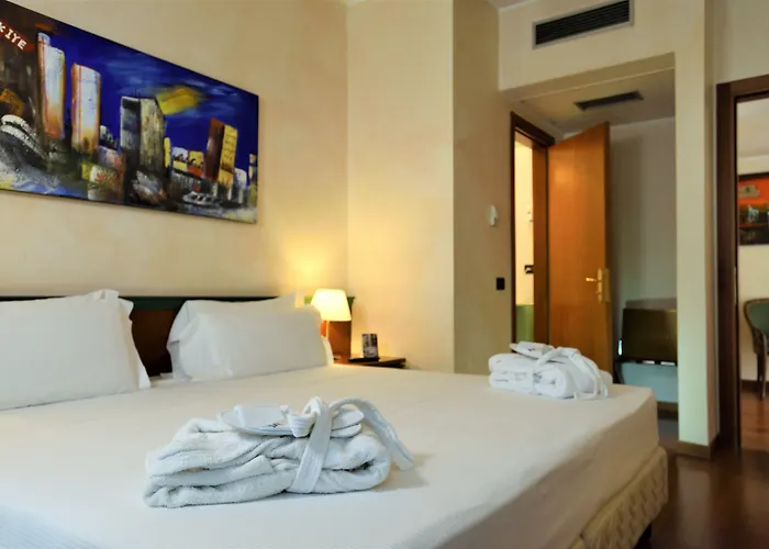 酒店 拉斐尔酒店 米兰